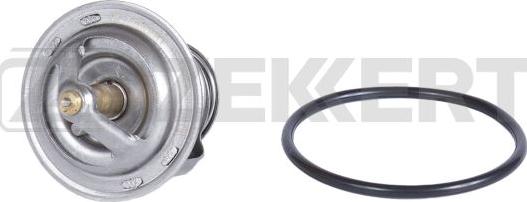 Zekkert TE-1002 - Thermostat d'eau cwaw.fr