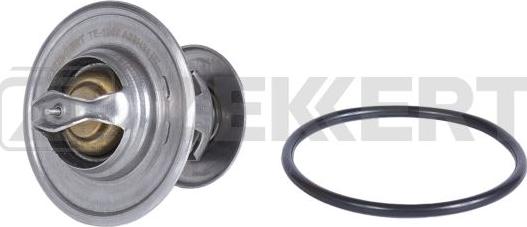 Zekkert TE-1007 - Thermostat d'eau cwaw.fr