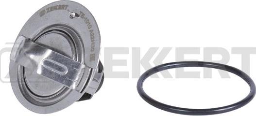 Zekkert TE-1010 - Thermostat d'eau cwaw.fr