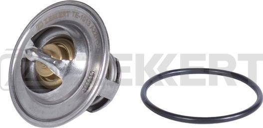 Zekkert TE-1013 - Thermostat d'eau cwaw.fr