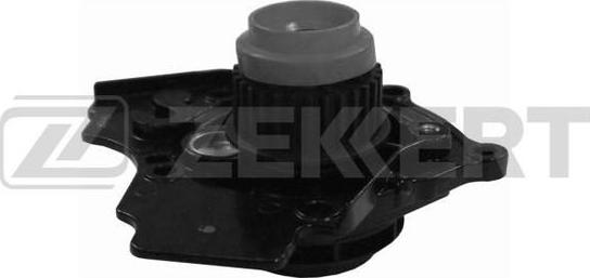 Zekkert WP-1354 - Pompe à eau cwaw.fr