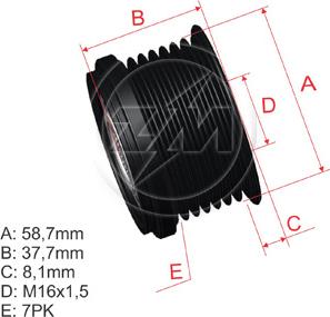 ZM ZM 96.000.25 - Poulie, alternateur cwaw.fr