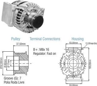 ZM ZM 90.107.01 - Alternateur cwaw.fr