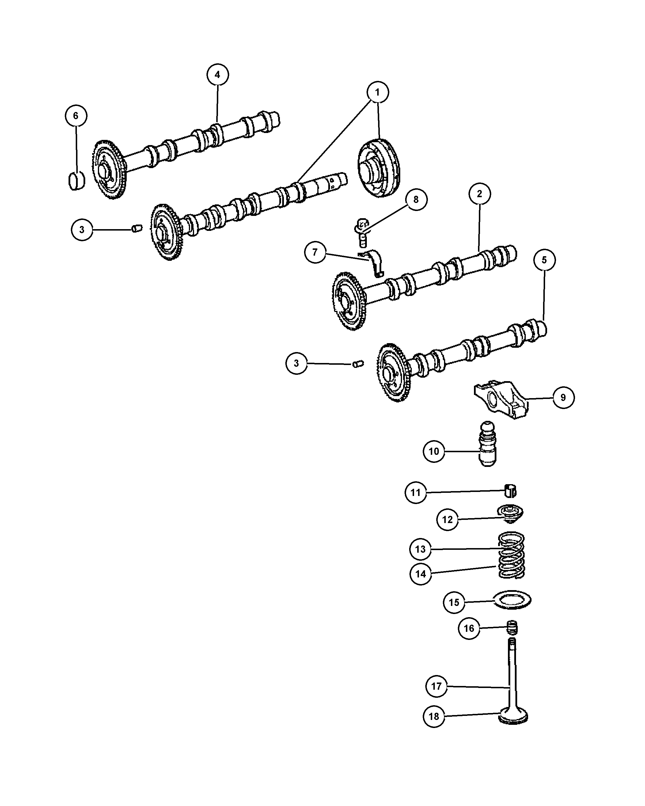 Chrysler 5175 440AA - Poussoir de soupape cwaw.fr