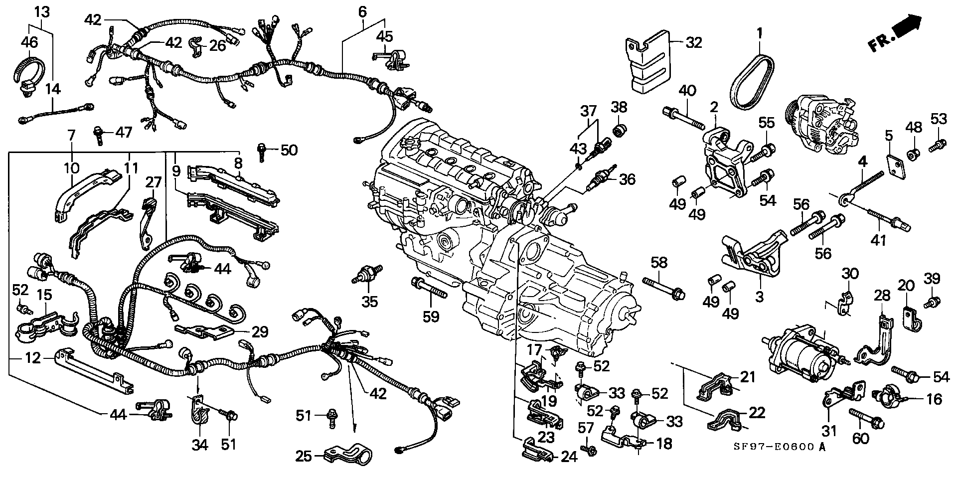 Honda 31110PK1003 - Courroie trapézoïdale à nervures cwaw.fr