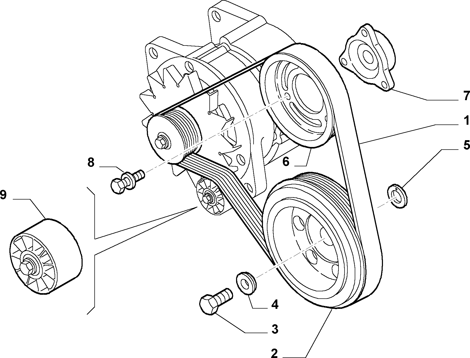 FIAT 504171191 - Courroie trapézoïdale à nervures cwaw.fr